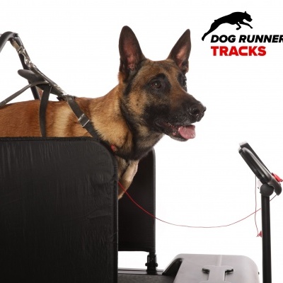 Tapete Rolante DOG RUNNER TRACKS