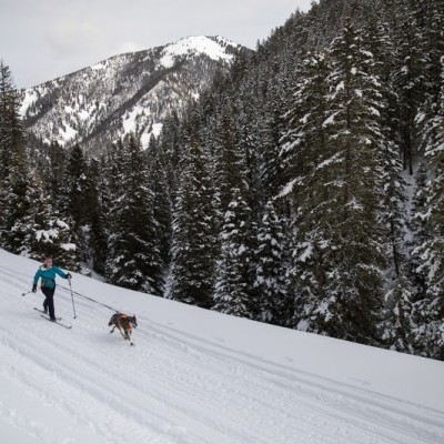 Trela de reboque OMNIJORE JORING
