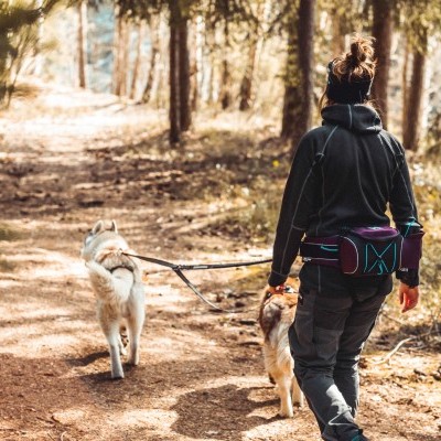 Bolsa para Cinto Non-stop Dogwear Trekking Belt