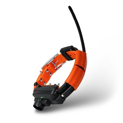 Dogtrace Coleira Adicional X25, X25T, X25B, X25TB