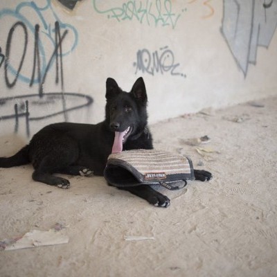 Manga de Treino ATOS em Jute DINGO GEAR