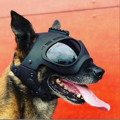 Capacete de proteção tático para cães K9 MORIN PRO