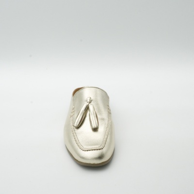 SAPATO DE SENHORA REFª T257-L