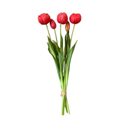 Ramo de cinco tulipas vermelhas com folhas verdes e caules longos