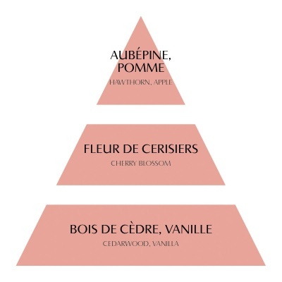 Pirâmide com texto sobre aromas em português e inglês