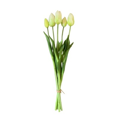 Ramo de tulipas creme claras com talos e folhas verdes amarrado com cordão