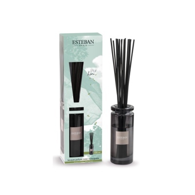 difusor de aromas Esteban Paris com pauzinhos negros em garrafa preta e caixa verde claro