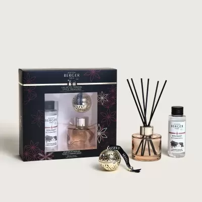 Conjunto de difusor de aroma e acessórios Maison Berger Paris num fundo branco