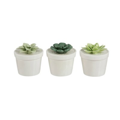 Conjunto de três suculentas decorativas em vasos brancos.