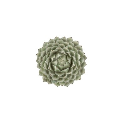 Suculenta artificial verde clara em padrão de roseta