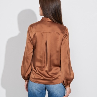 Blusa castanha satinada de manga comprida vista de costas