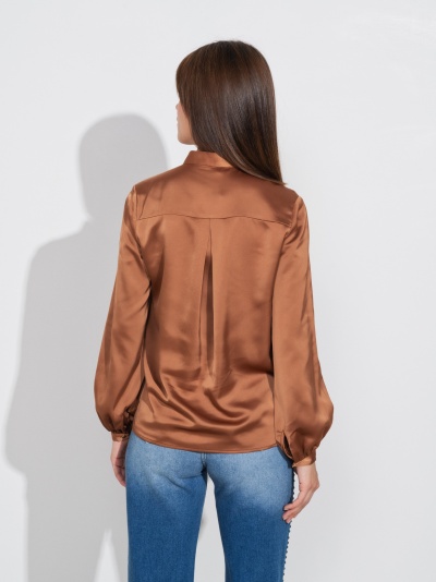 Blusa castanha satinada de manga comprida vista de costas