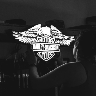 Logo branco da Harley-Davidson Motor Cycles com uma águia e pessoa em reflexo