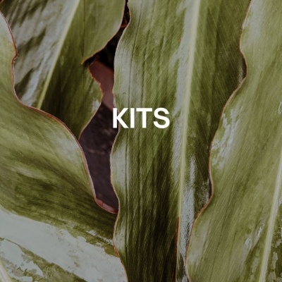 Folhas verdes grandes com texto la amari® e KITS