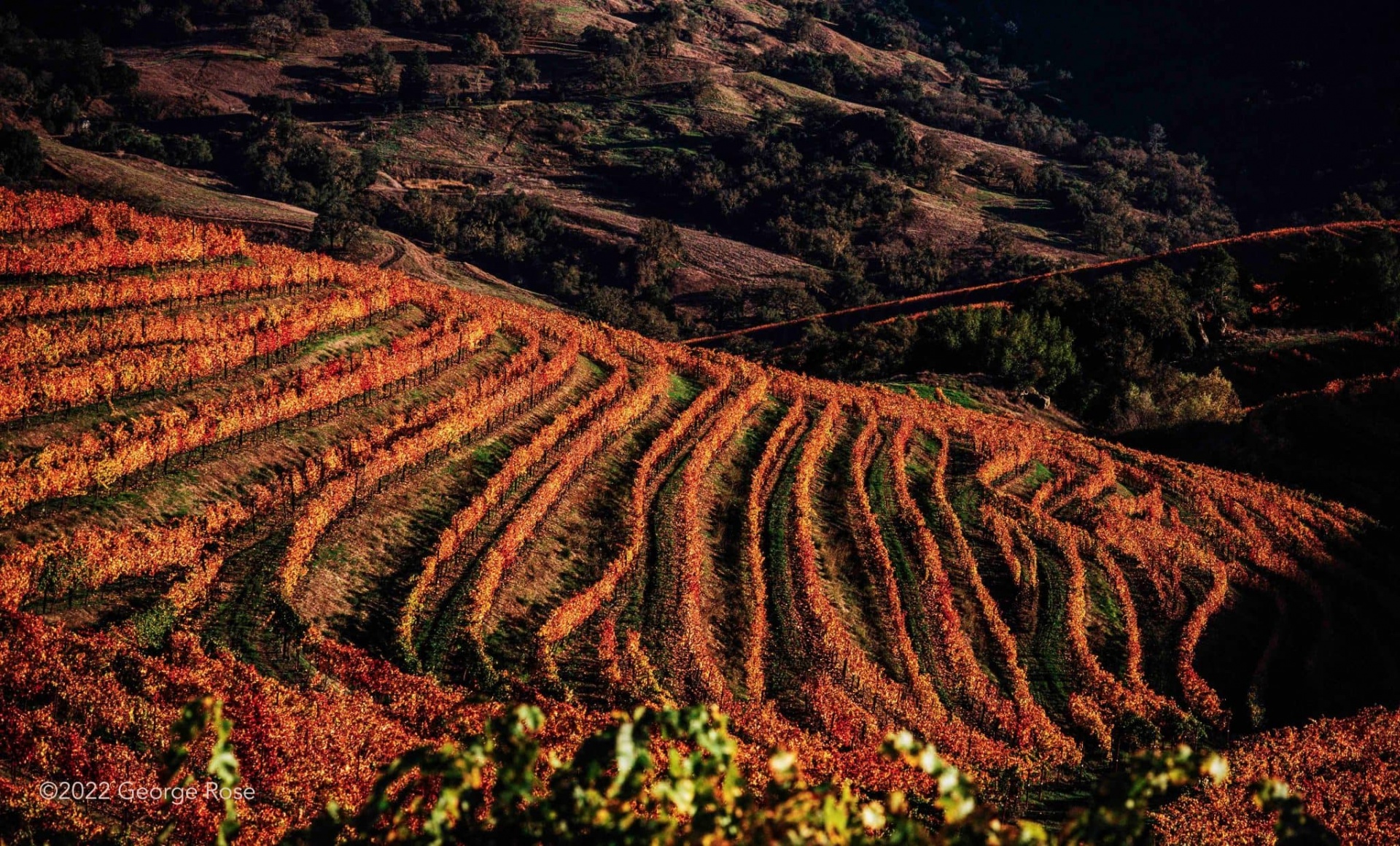 Terras agrícolas em socalcos de cor castanha e laranja com vegetação ao fundo