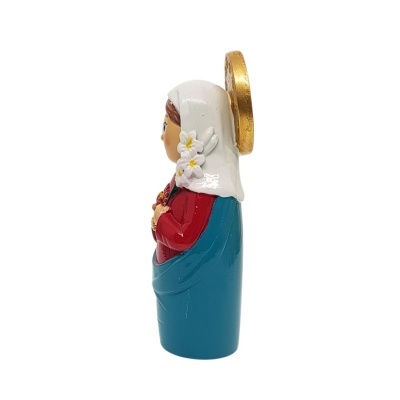 SAGRADO&#x20;CORA&#x00C7;&#x00C3;O&#x20;DE&#x20;MARIA