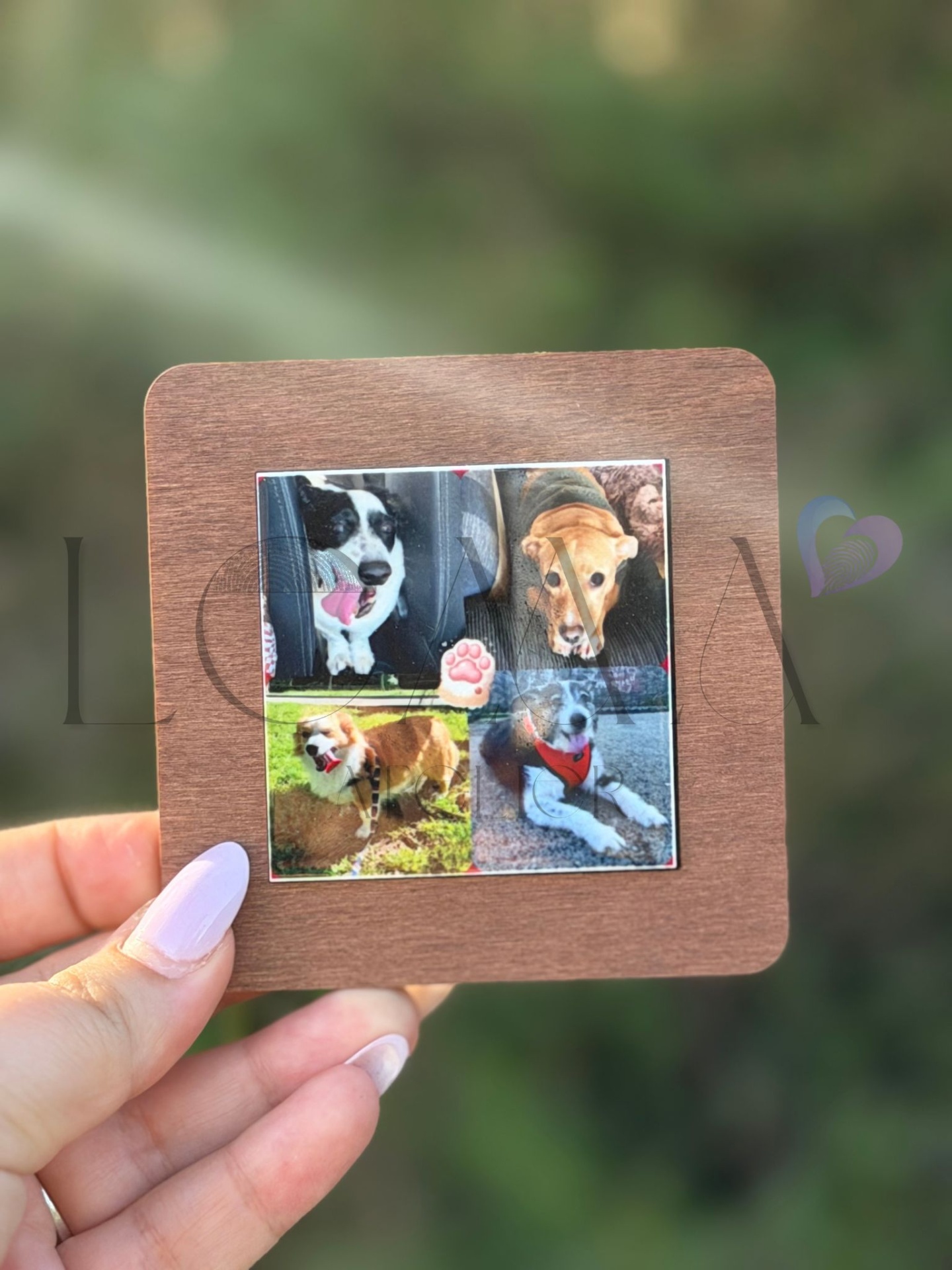 Íman de Azulejo c/ Moldura — Fotografia Cartão de madeira com colagem de quatro fotos de cães.