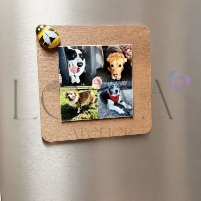 Imã de abelha colorido e fotos de cães numa moldura de madeira num frigorífico de inox