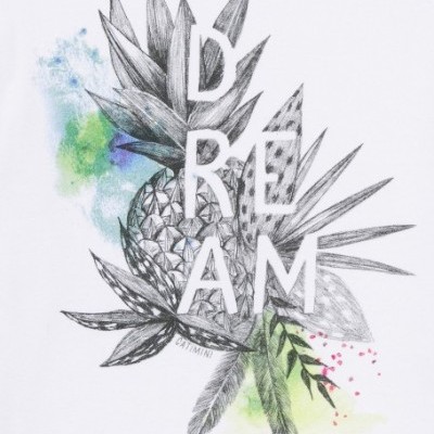 Desenho gráfico de ananás e folhas com a palavra DREAM em branco