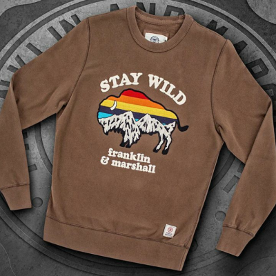 Sweatshirt castanha com estampa de búfalo colorido e texto frontal