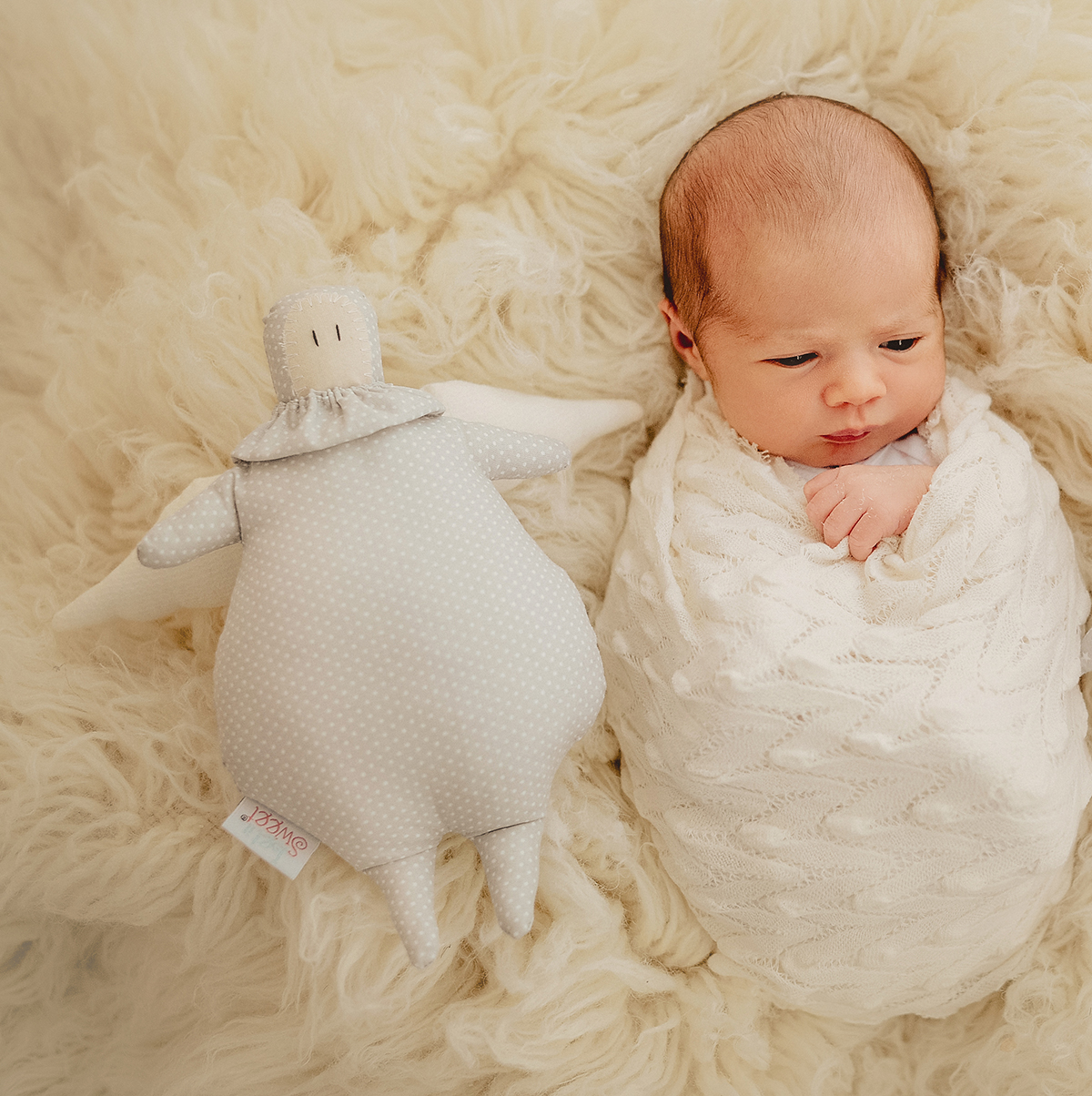 AnjinhoPapudo-aHistoria