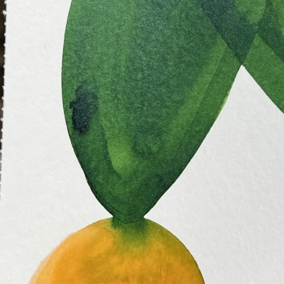 Ilustração colorida de planta com folhas verdes e uma fruta ou flor amarela em papel texturizado