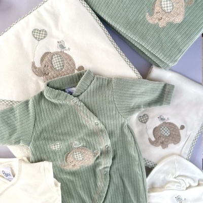 Conjunto de roupa de bebé verde e branco com elefantes bordados