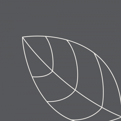 Desenho minimalista de folha branca sobre fundo cinza escuro