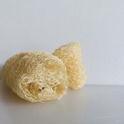 Duas esponjas naturais de luffa bege claro em superfície branca.