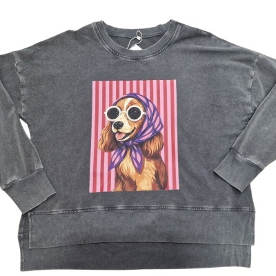 Camisola cinza com estampa de cão de óculos e lenço roxo em fundo riscado rosa