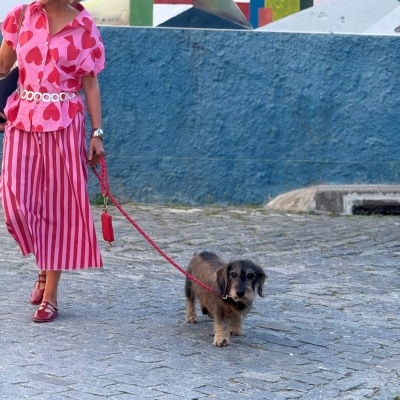 Mulher de camisa rosa com corações vermelhos, saia riscada rosa e vermelha, sapatos vermelhos, óculos escuros, a passear cão pequeno castanho.