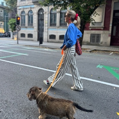 Pessoa de casaco azul e calças com riscas a passear cão castanho numa rua urbana