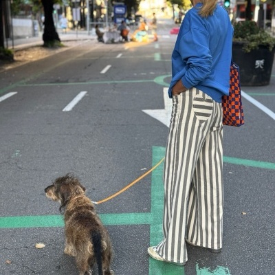 Pessoa com camisola azul e calças às riscas direita a passear cão numa rua com marcas verdes