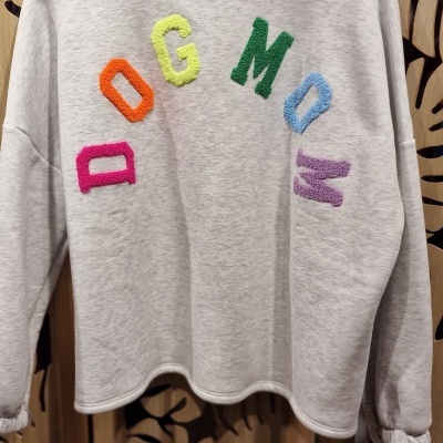Sweatshirt cinzenta clara com letras coloridas em relevo e biombo de madeira ao fundo