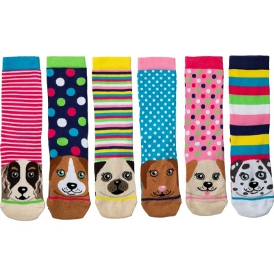 Meias coloridas com rostos de cães em fundo branco