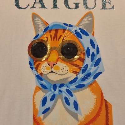 Ilustração de gato com lenço azul e óculos de sol dourados com texto acima.