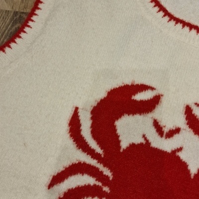 Colete branco com bordas vermelhas e caranguejo vermelho