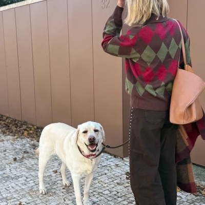 Pessoa de costas com suéter xadrez, calças castanhas, mala castanha e cão branco em passeio junto a muro castanho