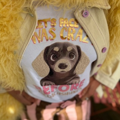 T-shirt branca com estampa de cão e texto decorativo, casaco bege e casaco amarelo peludo