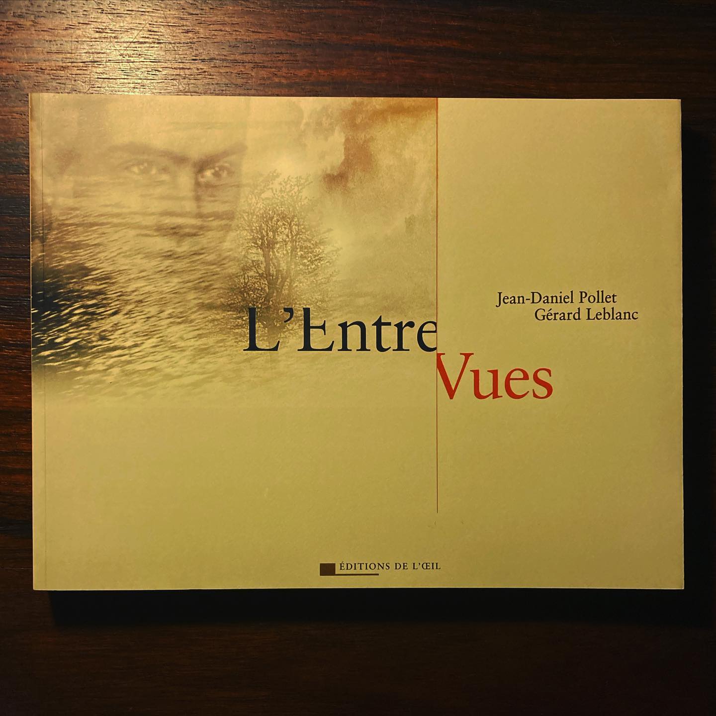 L’ENTRE VUES • JEAN-DANIEL POLLET & GÉRARD LEBLANC Capa de livro 'L'Entre Vues' com rosto e árvore em tons creme e bege