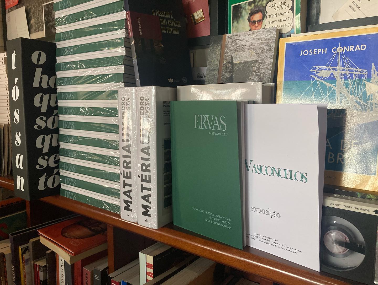 ERVAS ∙ YASUJIRO OZU ∙ JOÃO MIGUEL FERNANDES JORGE ∙ RUI VASCONCELOS ∙ RITA AZEVEDO GOMES Livros expostos numa estante de madeira, capas predominantemente verdes, brancas e pretas.