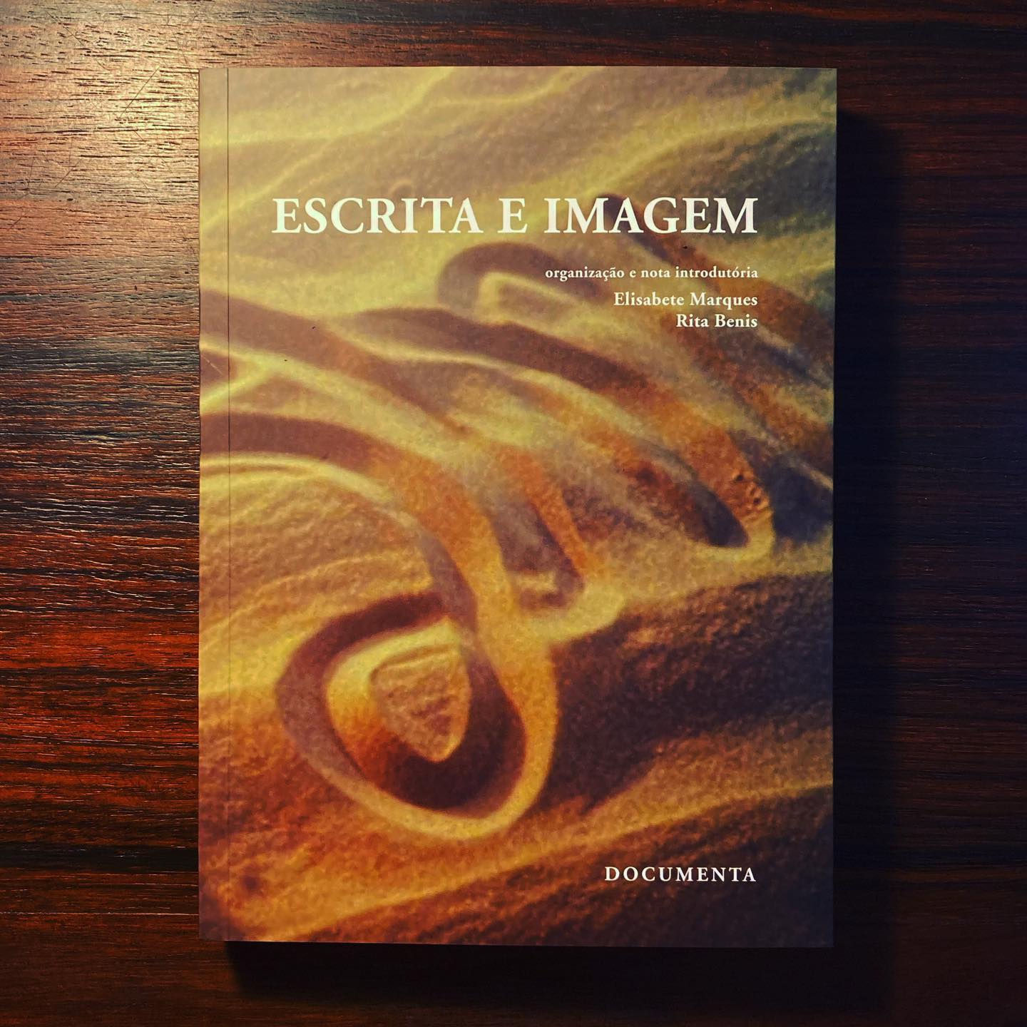 ESCRITA E IMAGEM • ELISABETE MARQUES & RITA BENIS (ORG.) Livro 'ESCRITA E IMAGEM' sobre mesa de madeira escura