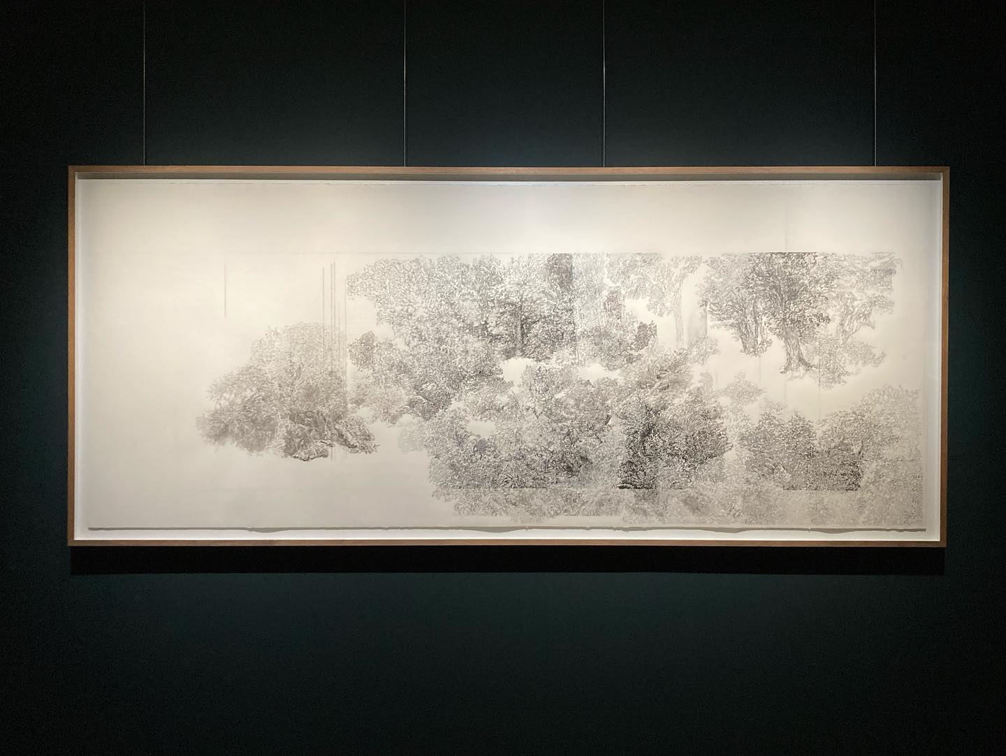 ERVAS ∙ YASUJIRO OZU ∙ JOÃO MIGUEL FERNANDES JORGE ∙ RUI VASCONCELOS ∙ RITA AZEVEDO GOMES Quadro grande com desenho a preto e branco de árvores em moldura de madeira clara numa parede escura