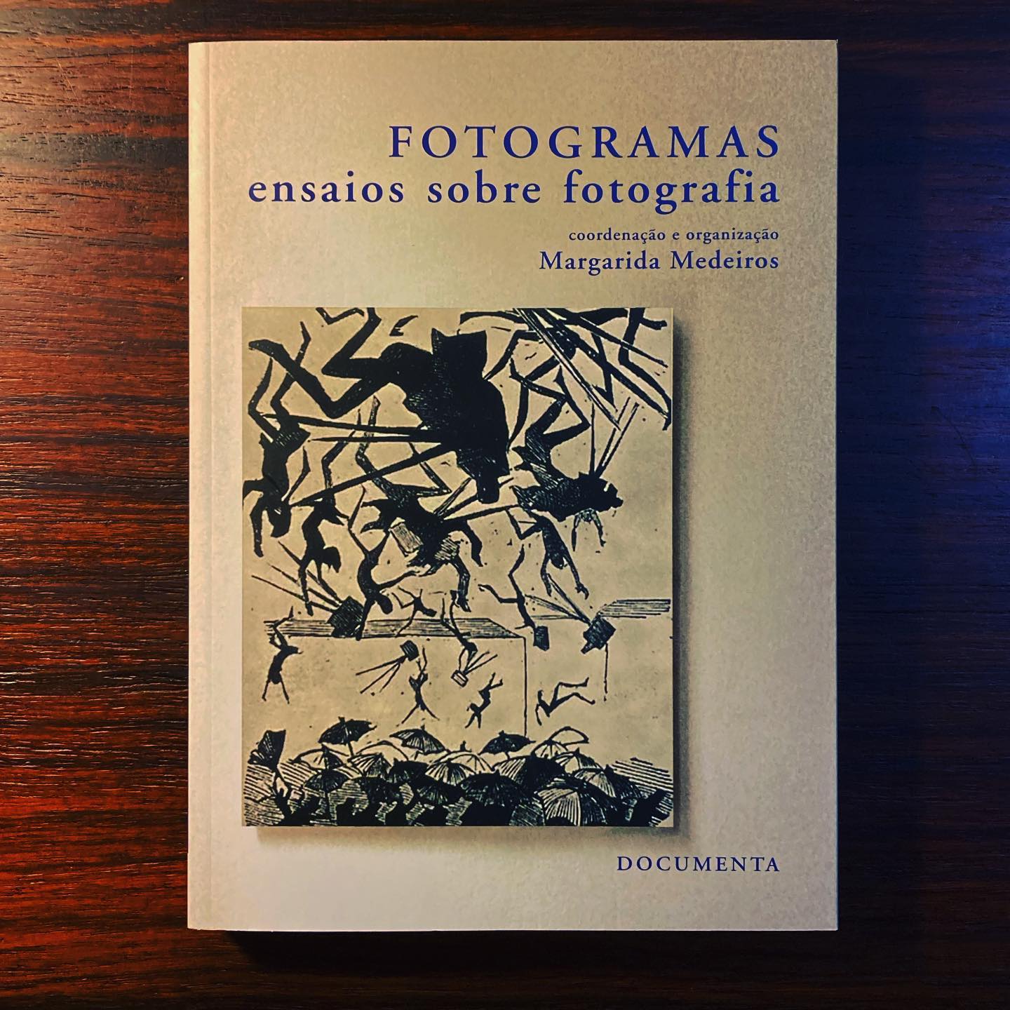 FOTOGRAMAS • ENSAIOS SOBRE FOTOGRAFIA • MARGARIDA MEDEIROS (COORD.) Livro sobre fotografia com capa branca e ilustração em preto e bege
