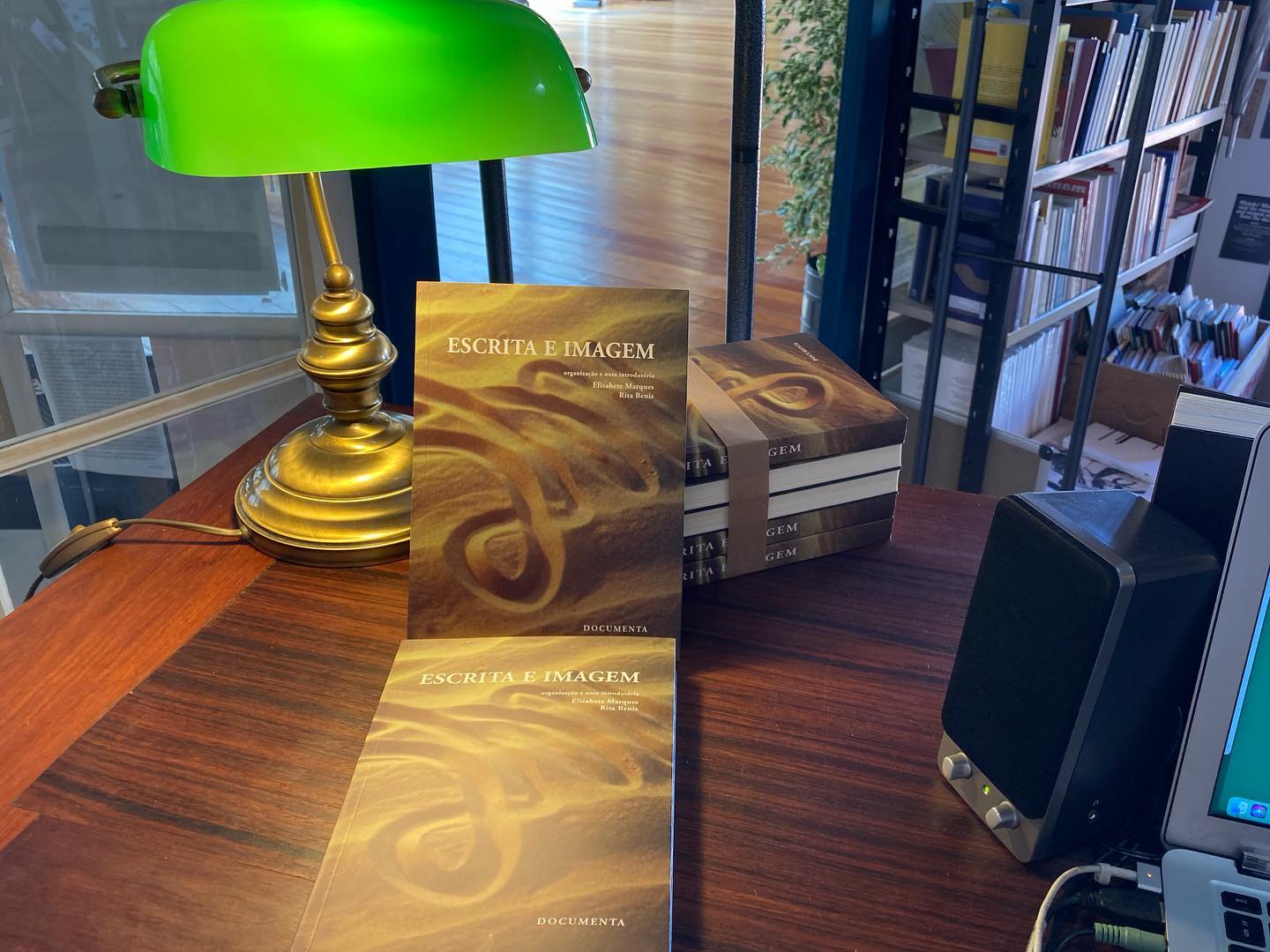 ESCRITA E IMAGEM • ELISABETE MARQUES & RITA BENIS (ORG.) Mesa de madeira com livros ESCRITA E IMAGEM e luminária verde