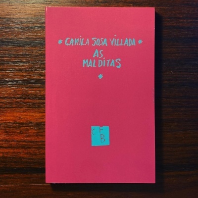 Livro rosa com texto azul sobre fundo de madeira escura