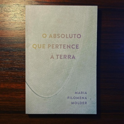 Capa de livro bege com título e nome da autora em letras amarelas e roxas sobre madeira escura