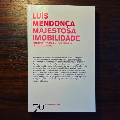 Livro 'LUÍS MENDONÇA MAJESTOSA IMOBILIDADE' sobre superfície de madeira escura