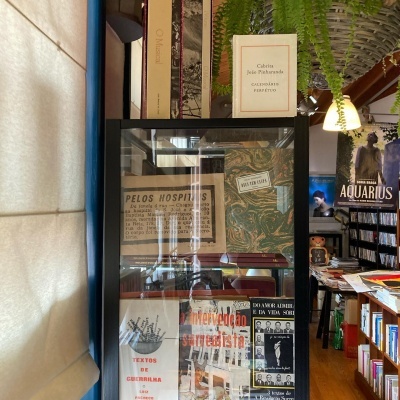 Vitrine com capas de livros e cartazes em livraria, com estante de livros e planta suspensa ao fundo