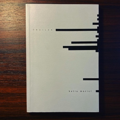 Livro com capa branca e design gráfico em barras pretas sobre mesa de madeira escura